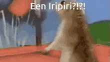 Iripiri GIF - Iripiri GIFs