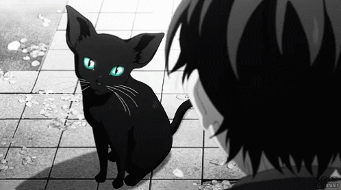 Black Cat  AnimePlanet