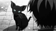 Premium AI Image  Cute black cat portrait manga anime style isolated on  white background