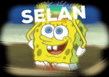 Selan Spongebob GIF - Selan Spongebob Maselan GIFs