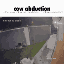 Starsanaa Cow GIF - Starsanaa Cow Abductions GIFs
