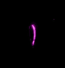 Lights Laser GIF - Lights Laser Purple GIFs
