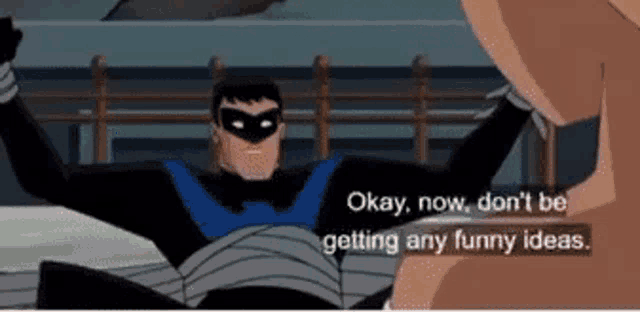 Funny Nightwing 