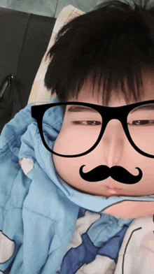 a person wearing glasses and a fake mustache on their face
