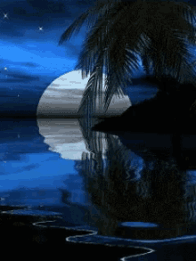 Night Moon Light GIF - Night Moon Light GIFs