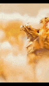 a close up of a dragon 's mouth with a blurred background