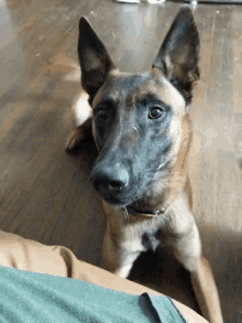 GIF