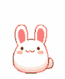 bunny hop cute excited hop hop