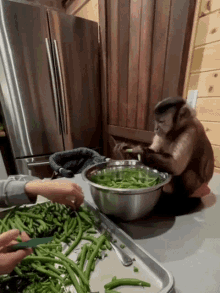 Monkey Chef GIF - Monkey Chef Kitchen GIFs
