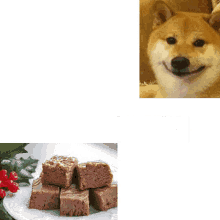 Arizion Dog Eat Fudge GIF