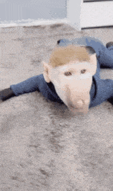 Sniffer Monkey GIF - Sniffer Monkey Funny Monkey GIFs