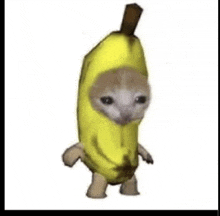 Banana Cat GIF - Banana Cat GIFs