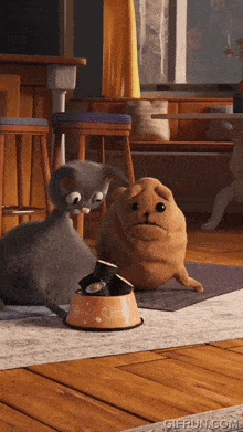 Bun Gasp Noodle And Bun GIF - Bun Gasp Noodle And Bun Wobbly Cat GIFs