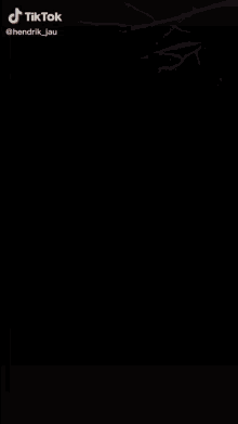 bunasiuacoaie