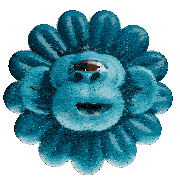 a blue flower with a monkey face in it