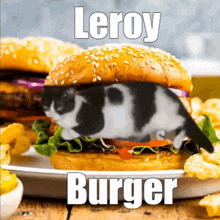 Leroy Burger Cat Funny GIF - Leroy Burger Leroy Burger GIFs