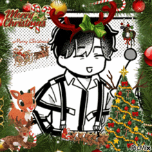 Kazui Milgram Merry Christmas Kazui GIF