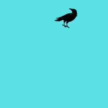 a black bird sitting on top of a white letter