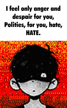 i feel only anger and despair for you , politics , for you hate , hate .