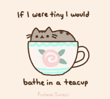 Tea Teacup GIF - Tea Teacup Cat GIFs