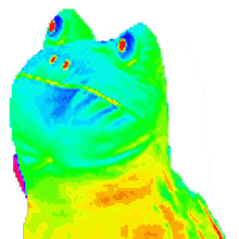 rainbow frog gif transparent