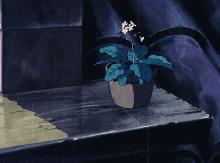 anime rain plant