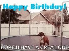 a dog is jumping on a trampoline with the words happy birthday hope u have a great one .