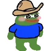 a green frog wearing a cowboy hat and sunglasses .