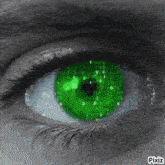 a close up of a person 's eye with green eyes and the words pixiz on the bottom