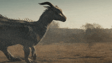 a dragon with horns is walking across a field