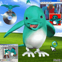 a picture of a dolphin on a windows battle player display