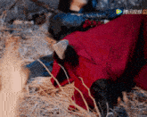 a person in a red skirt is laying on the ground with a chinese advertisement behind them