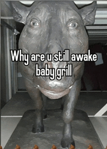 a statue of a rhino with the words " why are u still awake baby grill " below it