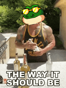 Bitcoin Frogs The Way It Should Be GIF - Bitcoin Frogs The Way It Should Be GIFs