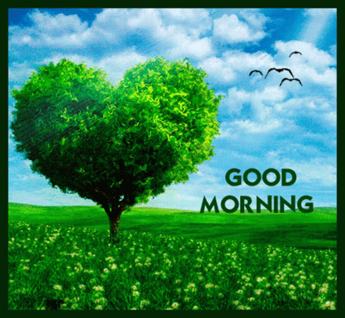 Good Morning Green GIF - Good Morning Green Nature - Discover & Share GIFs