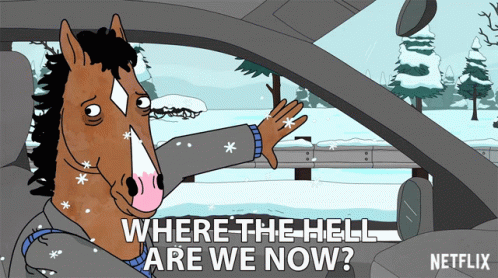 gif of BoJack Horseman saying "where the hell are we now?"