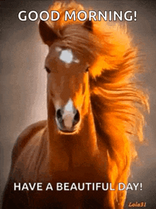 Horse Have A Beautiful Day GIF