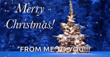 Merry Christmas Seasons Greetings GIF