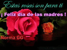 Feliz Dia De Las Madres Happy Mothers Day GIF - Feliz Dia De Las Madres Happy Mothers Day Estas Rosas Son Para Ti GIFs