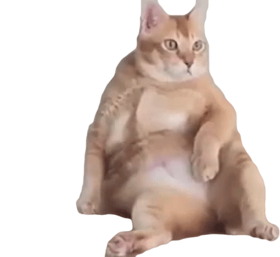 Chillin Sitting Cat Sticker - Chillin Sitting Cat Fat Cat Stickers