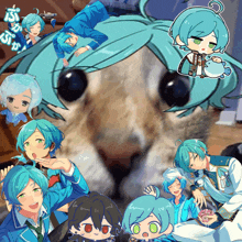 Kanata Kanatashinkai GIF