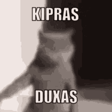 Kipras GIF - Kipras GIFs