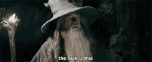 Wtf GIF - Lord Of The Rings Gandalf The Fuck Is This GIFs