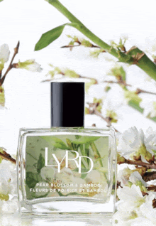 a bottle of lyrd pear blossom and bamboo perfume with flowers in the background