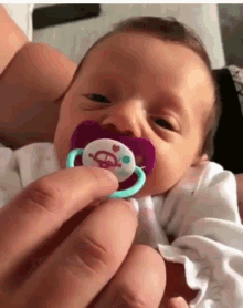 Infant Baby GIF - Infant Baby Sucking Pacifier GIFs