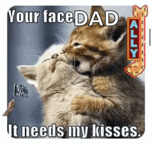 two kittens are hugging each other with a caption that says `` your facedad it needs my kisses '' .