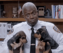 Can You Say No To This GIF - Brooklyn Nine Nine Captain Puppies GIFs