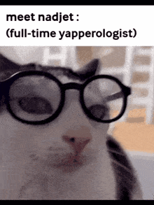 a cat wearing glasses with a caption that says meet nadjet ( full-time yapperologist )