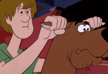 Shaggy Scooby Doo GIF - Shaggy Scooby Doo Running GIFs