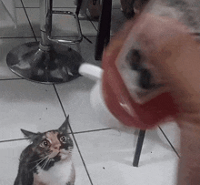 Katsup Cat GIF - Katsup Cat Ketchup GIFs